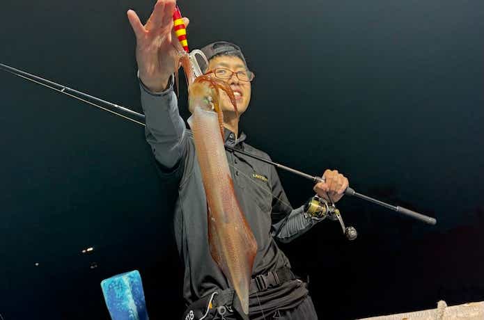 エギドロッパーで釣れたケンサキイカ