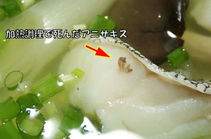 タラの切り身にいたアニサキス