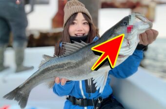 キミは分かるか？知ってたらかなりの博識！？オールドルアー8選（シーバス編）
