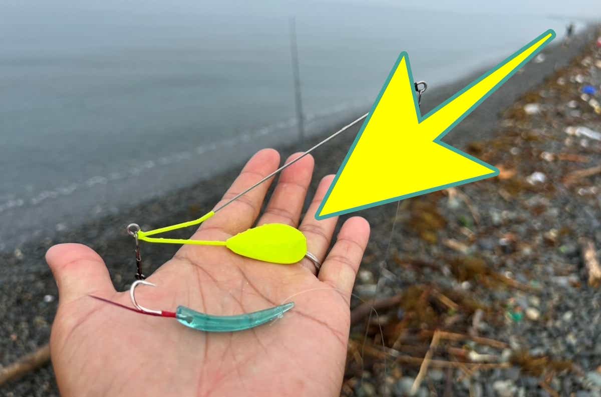 「正直ナシだと思ってた…」まさかの仕掛けで青物連発ッ！その未知なる可能性とは？