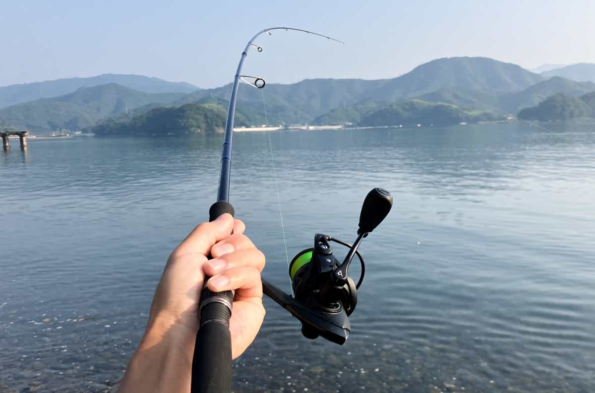 「え、嘘でしょ？」万能で鬼コスパ。そんな都合のいいロッド、あったんだ…。