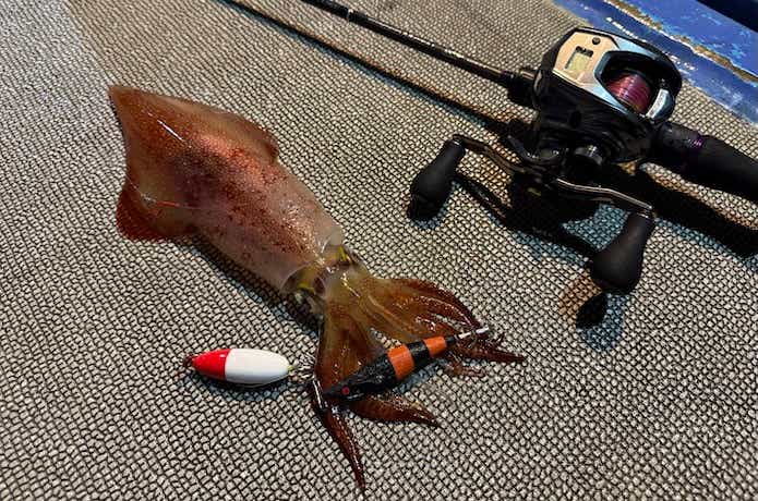 スピードメタルSSでケンサキイカの釣果