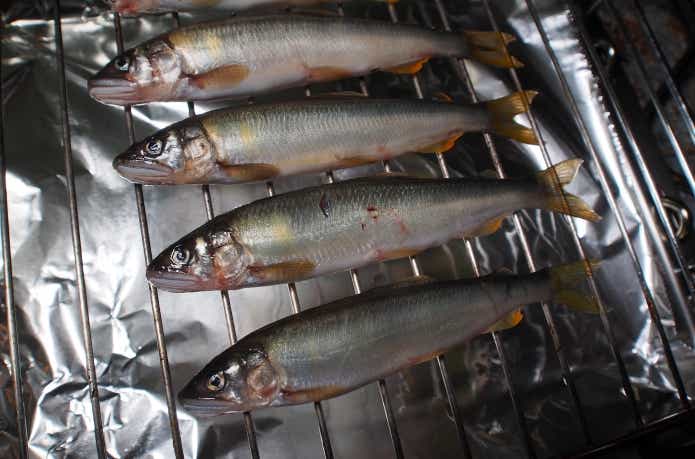 鮎の甘露煮