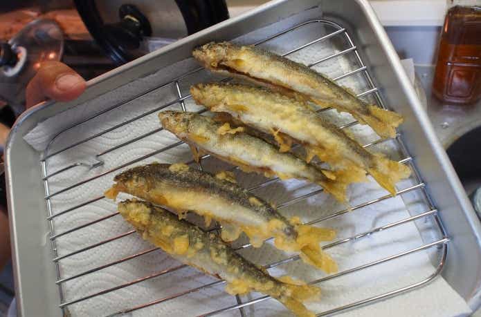 骨ごと食べられる鮎の天ぷら