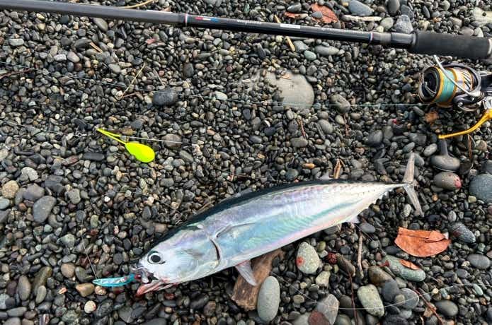 立つ天秤の動きと釣果