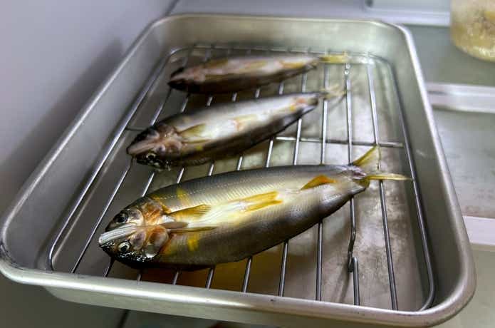 冷蔵庫で作る鮎の一夜干し