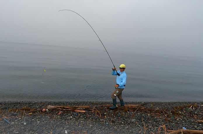 立つ天秤でソーダガツオが釣れた瞬間