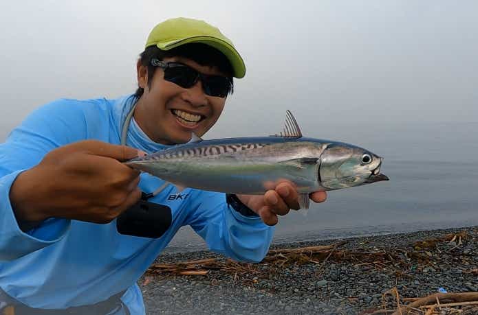 立つ天秤で釣れたソーダガツオ