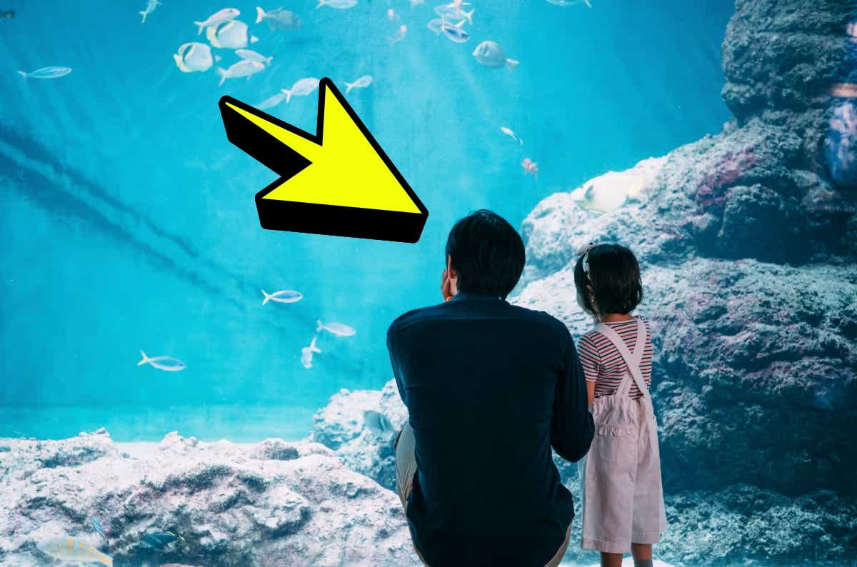 釣り好きパパの出番です！ 夏休みの自由研究・工作のアイデア・ヒント集