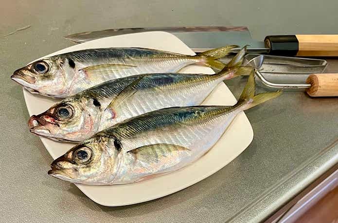 アジ