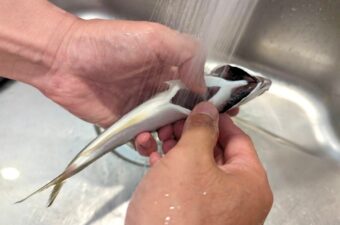 【目指せ全問正解】釣り人なら当然知ってるよね？魚料理クイズ〜！