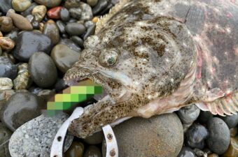 「獲りきれてないの、勿体無い！」ぼくの絶対に外せないサーフ用ヒラメジグたち。
