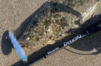 【遠投から捕食ゾーンへ】ぼくが信頼するサーフを切り拓くシンキングペンシルたち