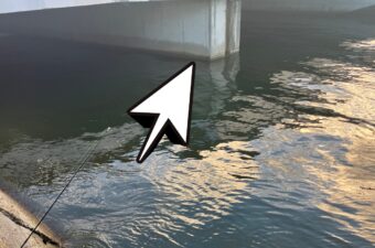 チニング超苦手マンが、自信ニキに変化した“いくつかの気づき”について