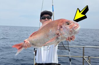「デカ過ぎると不味いってマジ？」9日間釣った大鯛で生活してみたら……