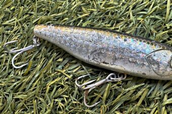 夏の魚にボロボロにされてしょうがない神ルアーたち
