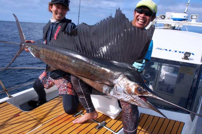 釣り上げたセイルフィッシュ