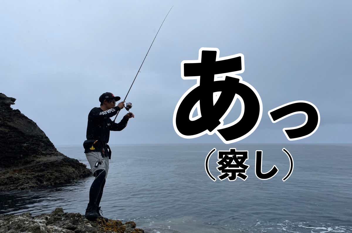 秋のエギングで「やってはいけない」5つの行動