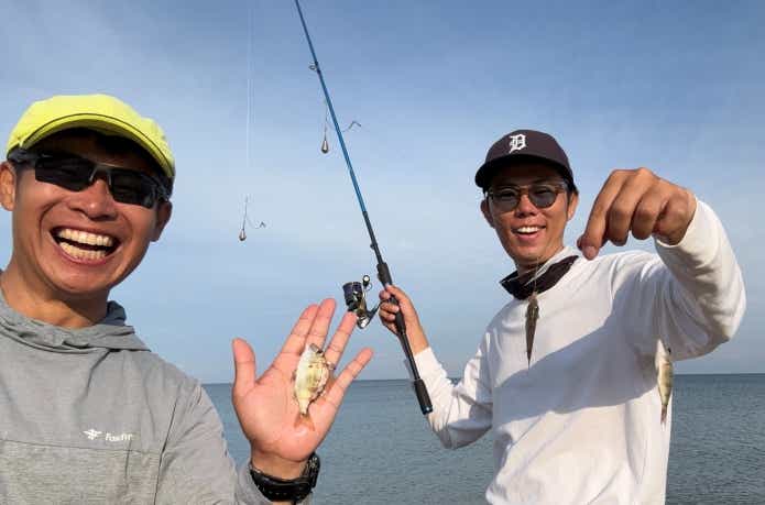 シロギスの外道で釣れたチャリコ