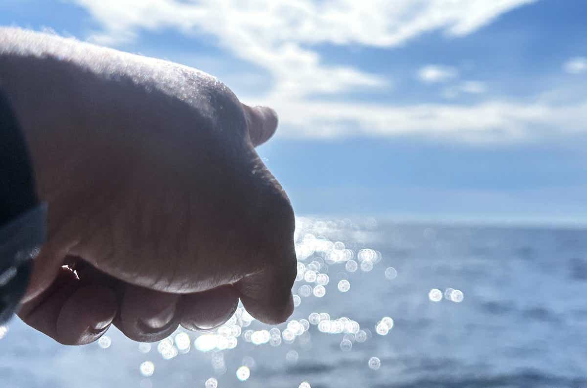 釣り人の憧れの“大群”が日本にやって来た──その報を聞き現場に急行した結果......