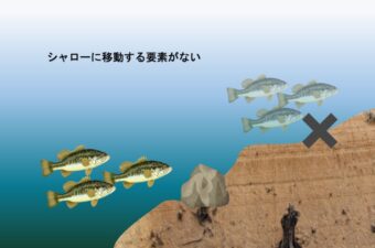 【秋バス予想】振り回された2025年。揺らぐ季節の先——秋のバスはどこにいる？