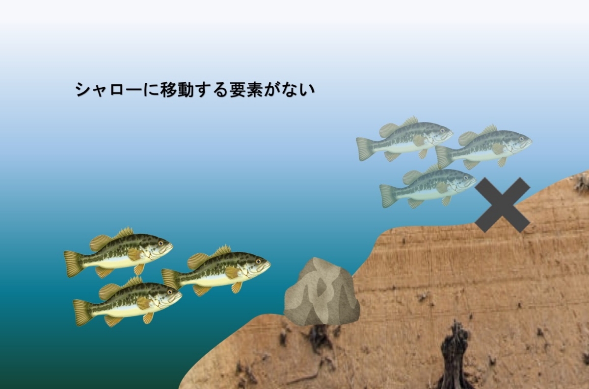 【秋バス予想】振り回された2025年。揺らぐ季節の先——秋のバスはどこにいる？
