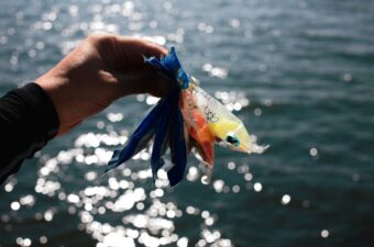 「他に何が必要？」ソルトルアー釣り。これさえあれば十分な神ワームを紹介します。