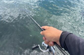 ライトタックルでする“あの釣り”が「面白くって、美味しくって」