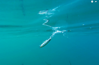 「食え！食え！食え！」でマジで食う。操る楽しみ、ここにある。