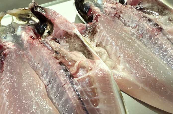 内臓脂肪は取らない