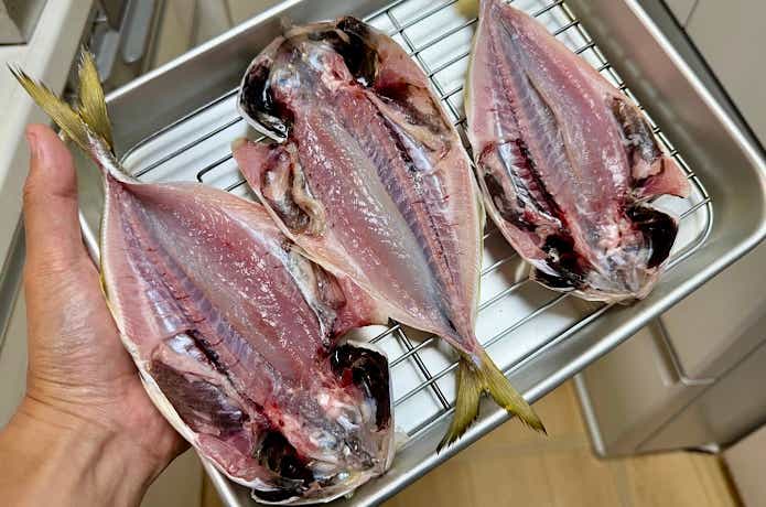 アジの干物