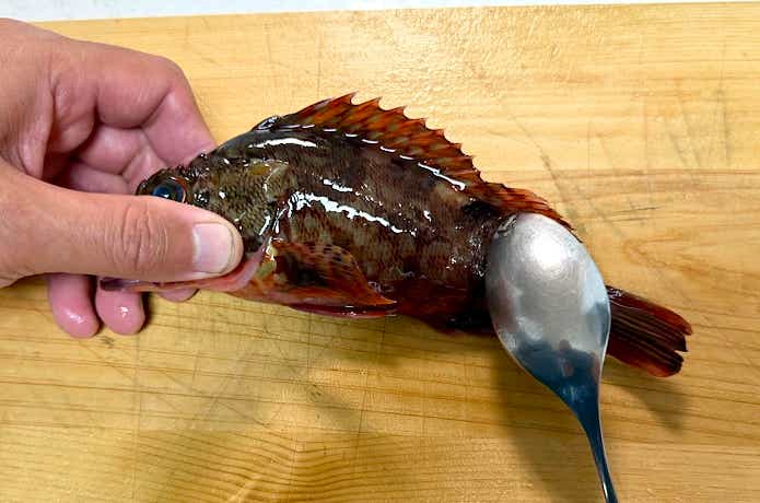 ヒレが長い魚も安全