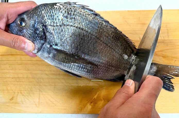 硬いうろこでも作業可能