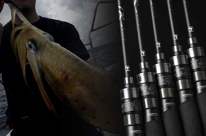 厳選されたラインナップ