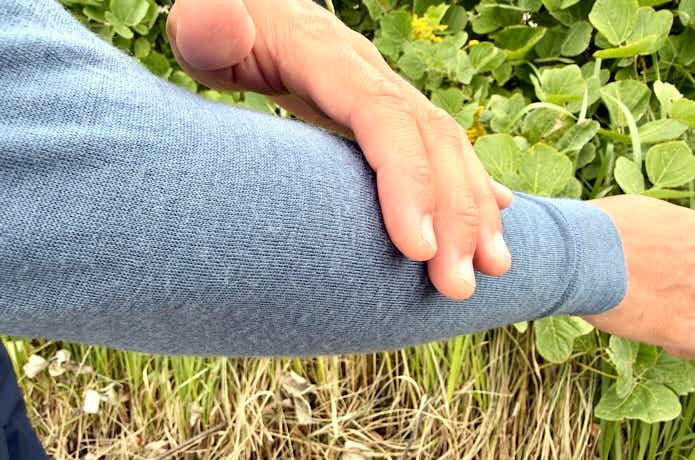 チクチクしにくい快適な肌触り