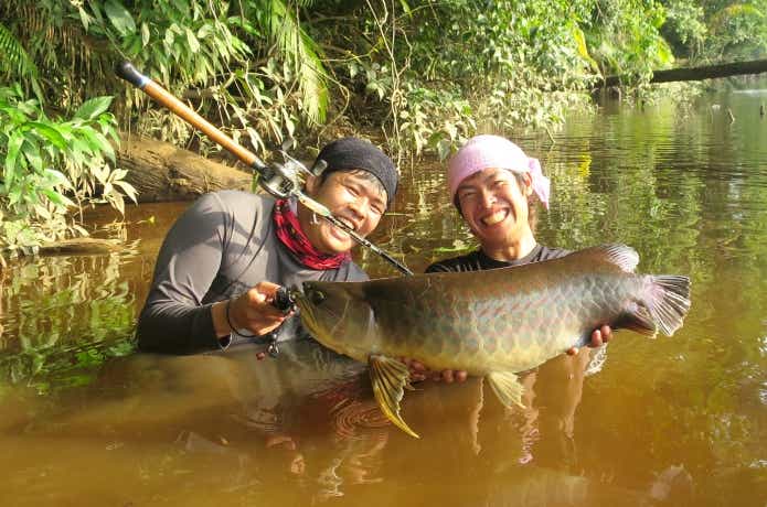 カリマンタン島のアジアアロワナ