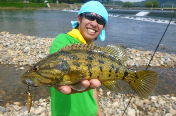 堰の下に潜んでいたコウライオヤニラミ