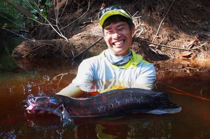 美しく発色したマルリオイデス