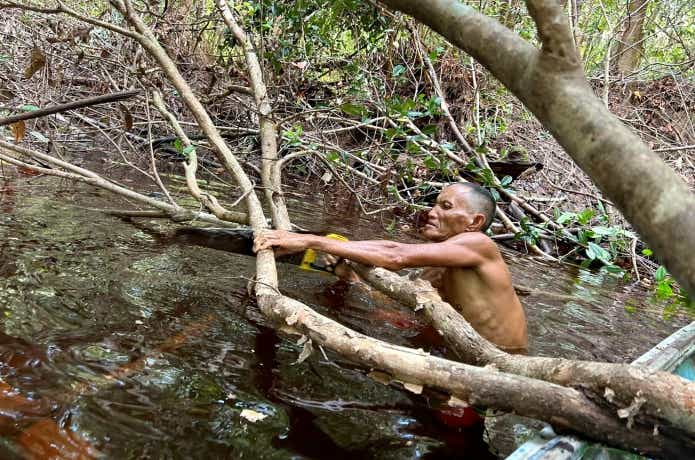 倒木を勇ましく切る現地民
