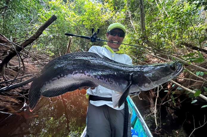 源流部で釣れたトーマン