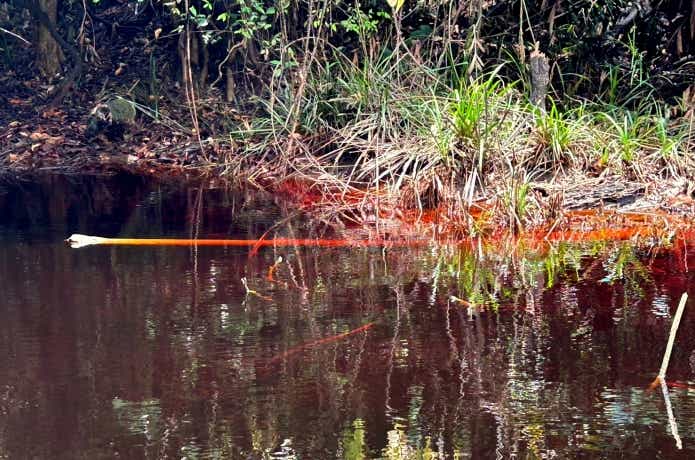 真っ赤でクリアな水