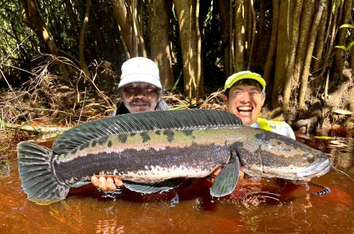 ジャングルで釣れた大型のトーマン