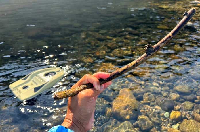 木の枝に絡まった仕掛け