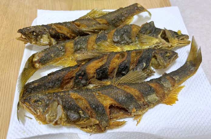 落ち鮎の唐揚げ