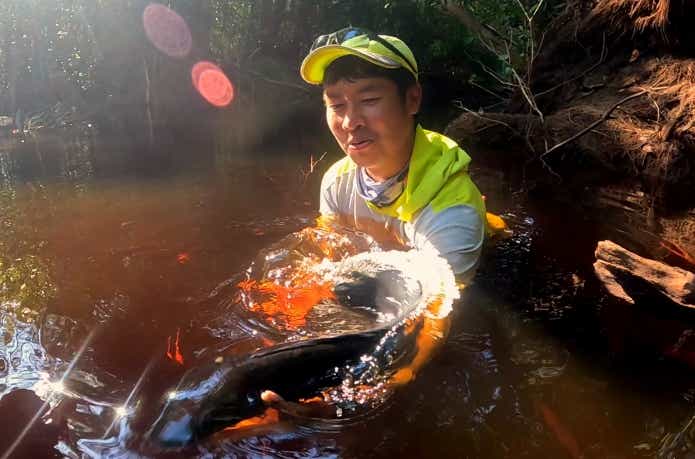 逃げ出すマルリオイデス