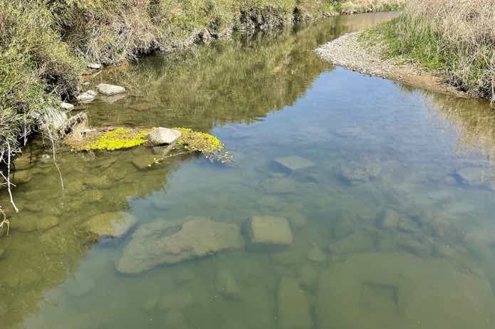 コウライオヤニラミが釣り上げられた大淀川
