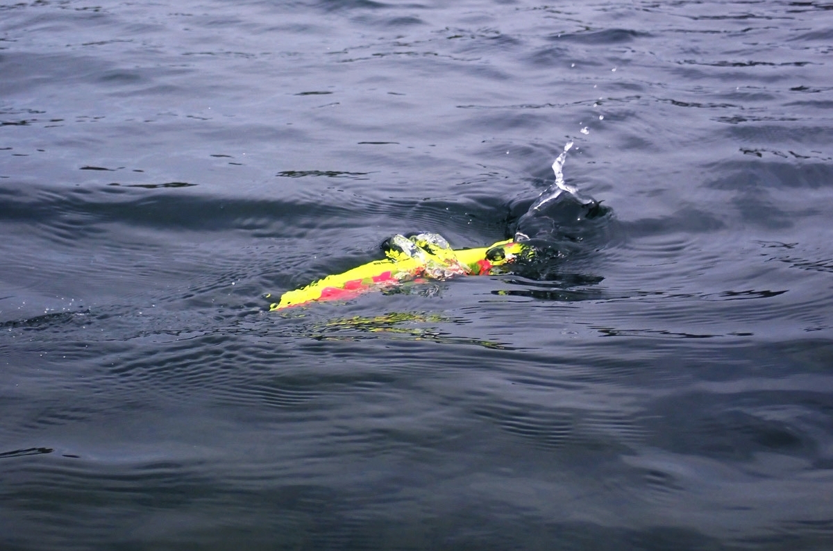 【異次元の吸引力】ランカーを吸い寄せる“あのルアー”、当然ご存知ですよね?