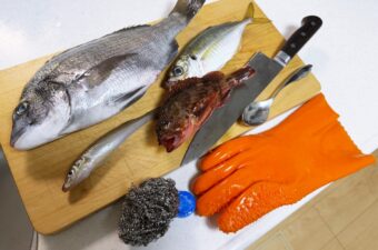 うろこ取りの代用品、キミはいくつ知っていた？