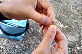 「エサ釣りは簡単」「ルアーは難しい」って言うじゃない？