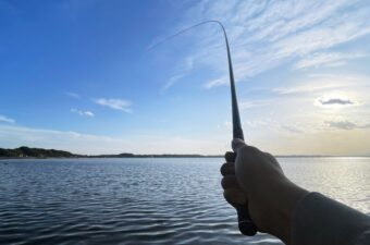 童心を取り戻す釣りが、すぐそばにあった。しかも、美味しいお土産付き。